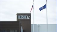 Heavy metals can be absorbed by a plant after they ionize (Image via Hershey)